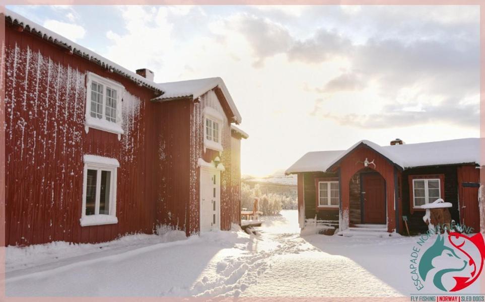 Ferienwohnung Escapade Norvegienne Tolga Exterior foto