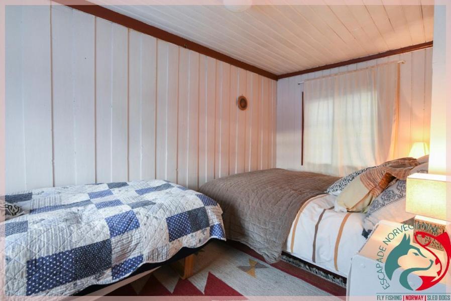 Ferienwohnung Escapade Norvegienne Tolga Exterior foto