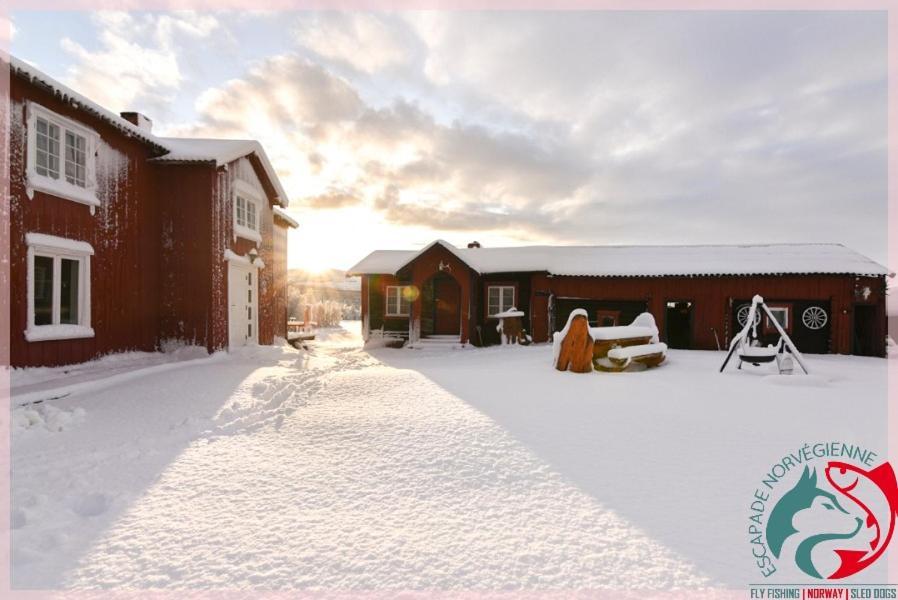 Ferienwohnung Escapade Norvegienne Tolga Exterior foto