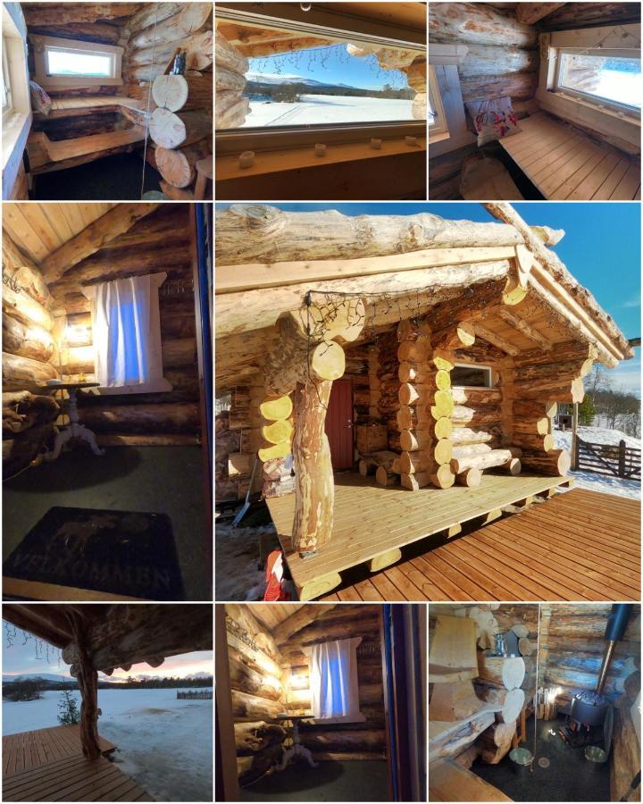 Ferienwohnung Escapade Norvegienne Tolga Exterior foto
